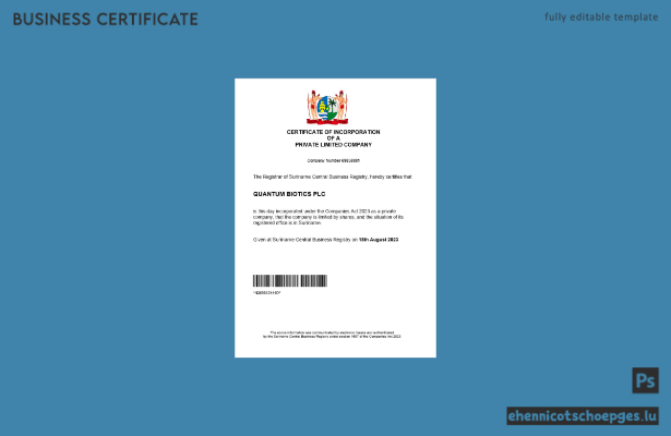 Beispiel eines surinameischen Gewerberegistrierungszertifikats (Word- und PDF-Datei)